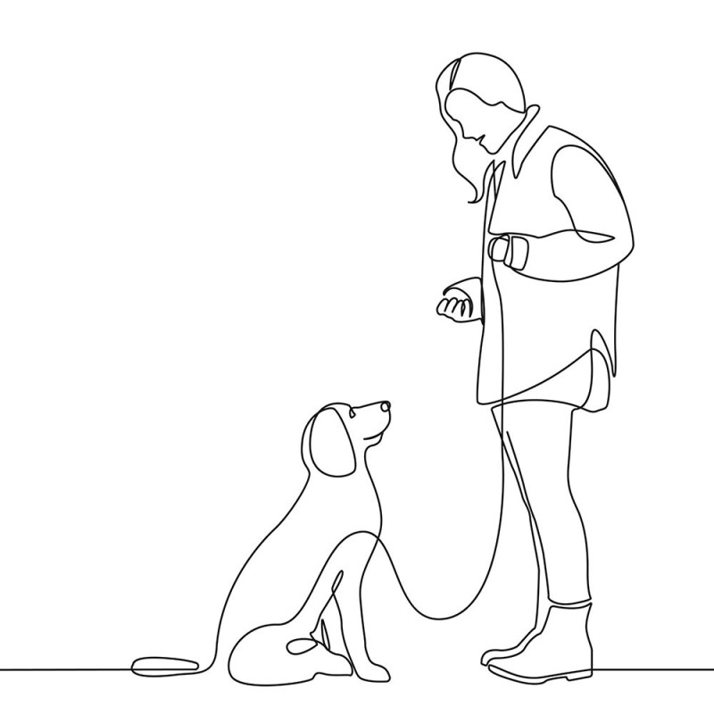 hundebetreuung tanja pratteln hunde erziehung